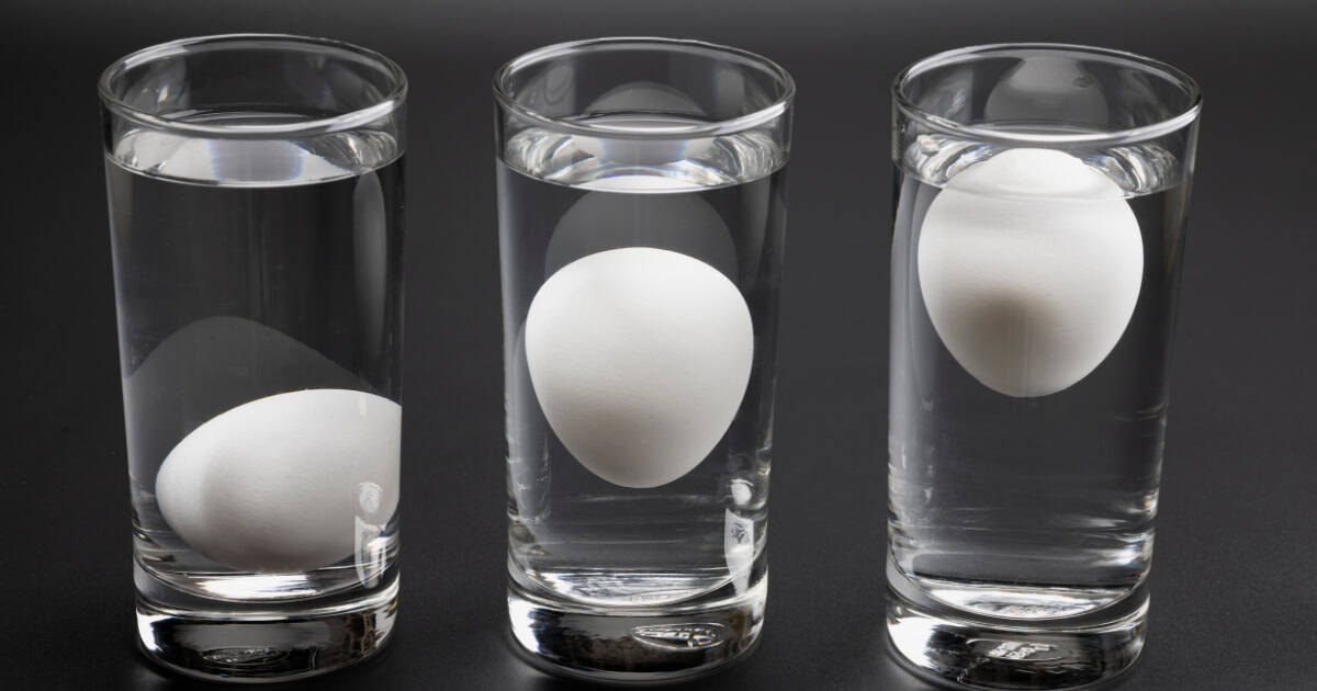 Egg Float Test