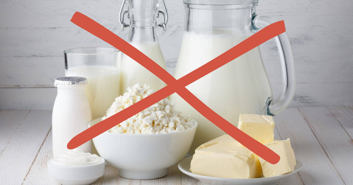 Chickens are Lactose intolerant