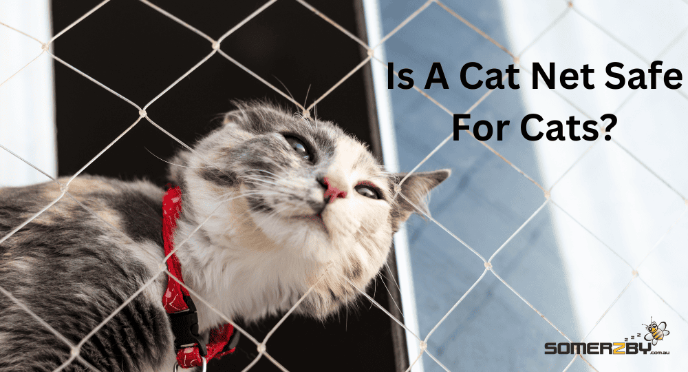 A domestic cat peering out in to the world from behind cat netting.