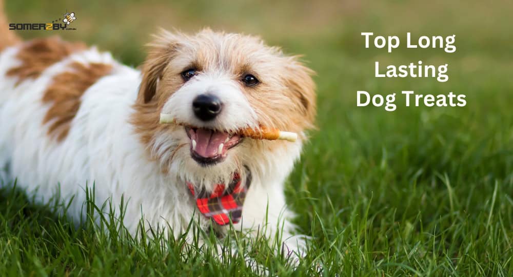 Top Long Lasting Dog Treats