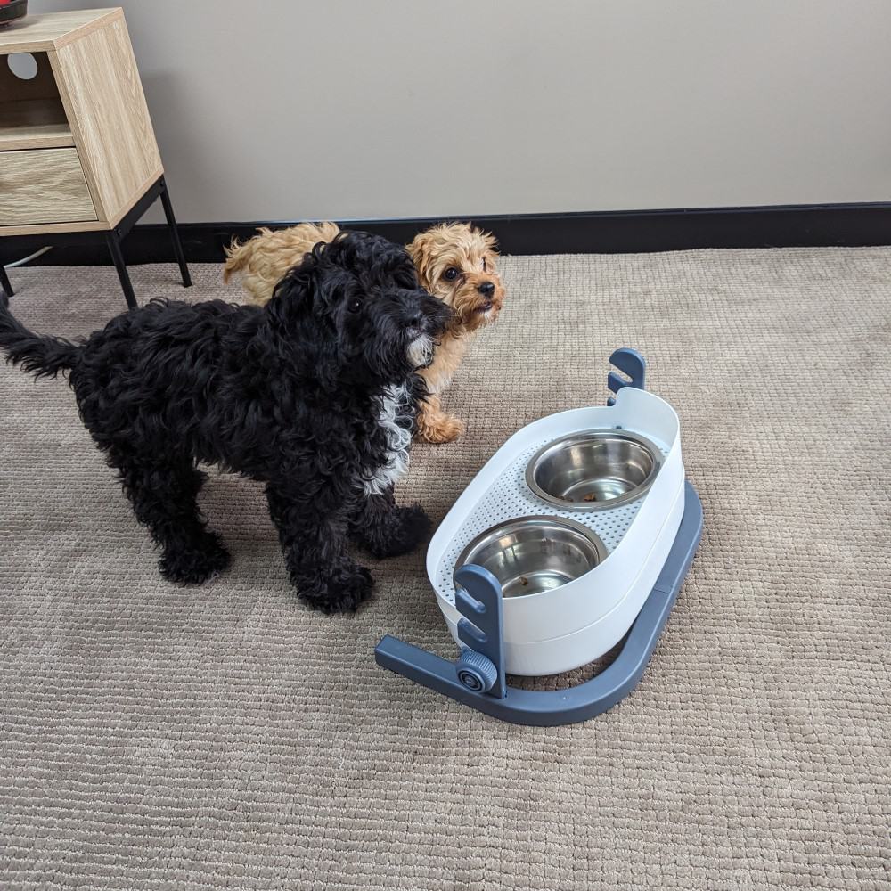 3-in-1 Elevated Food and Water Bowl - 3 heights