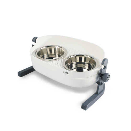 All For Paws pet food bowl