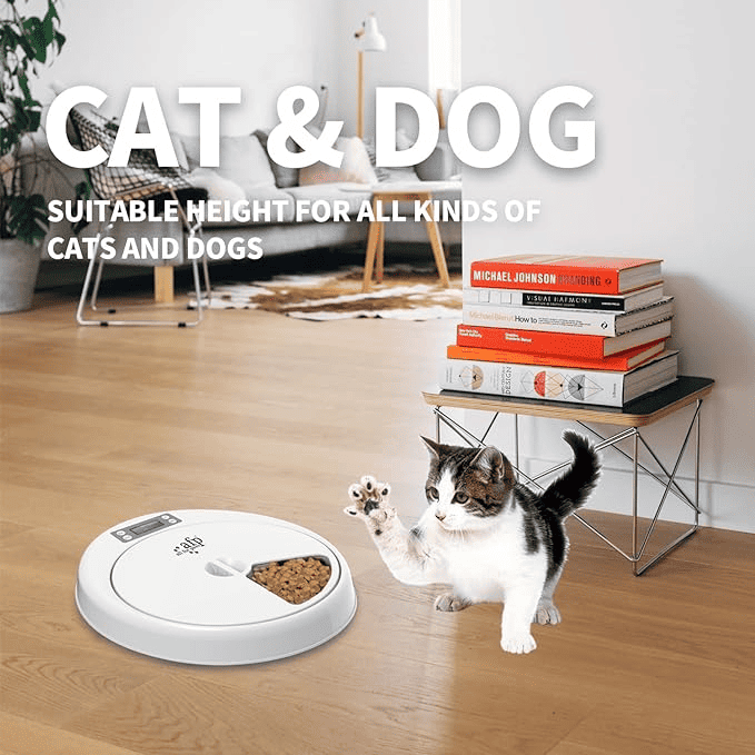 Auto feeder is designed with LED display