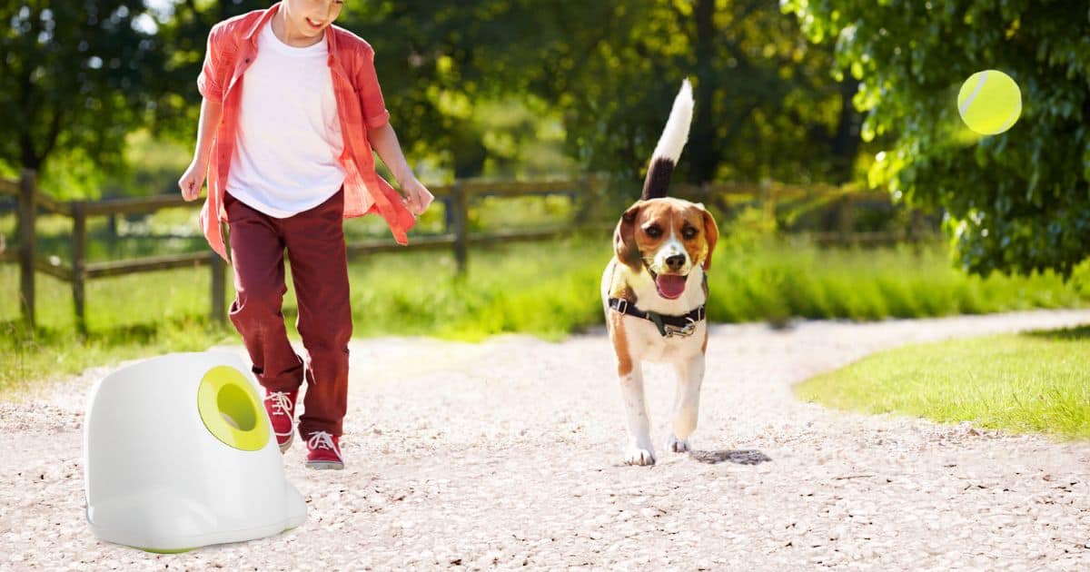Ball Thrower Machine for Dogs