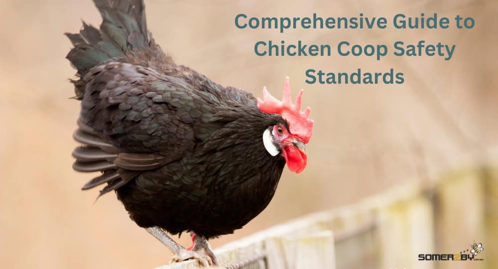 Chicken Coop Safety Standards