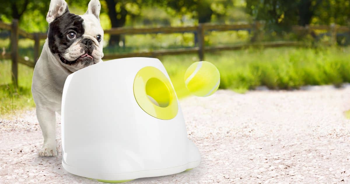 Hyper Fetch Maxi Auto Ball Launcher for Dogs