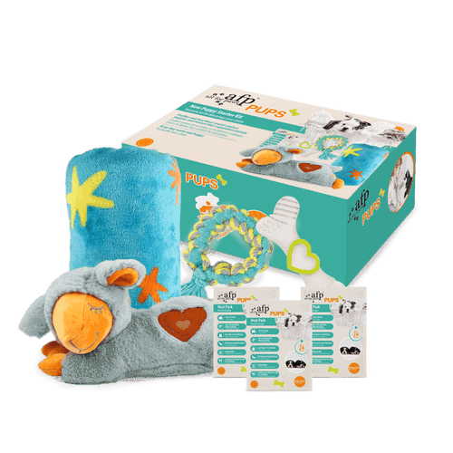 All For Paws Pups New Puppy Starter Kit 1