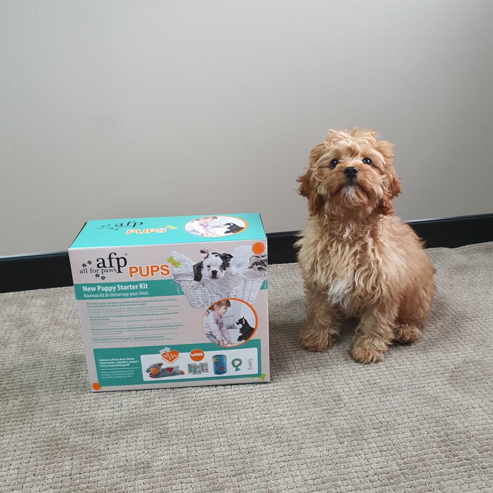 Customer photo - New Puppy Starter Kit
