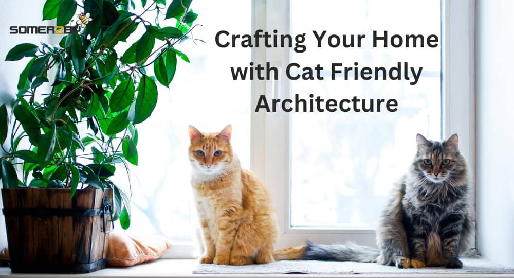 Crafting Your Home with Cat Friendly Architecture