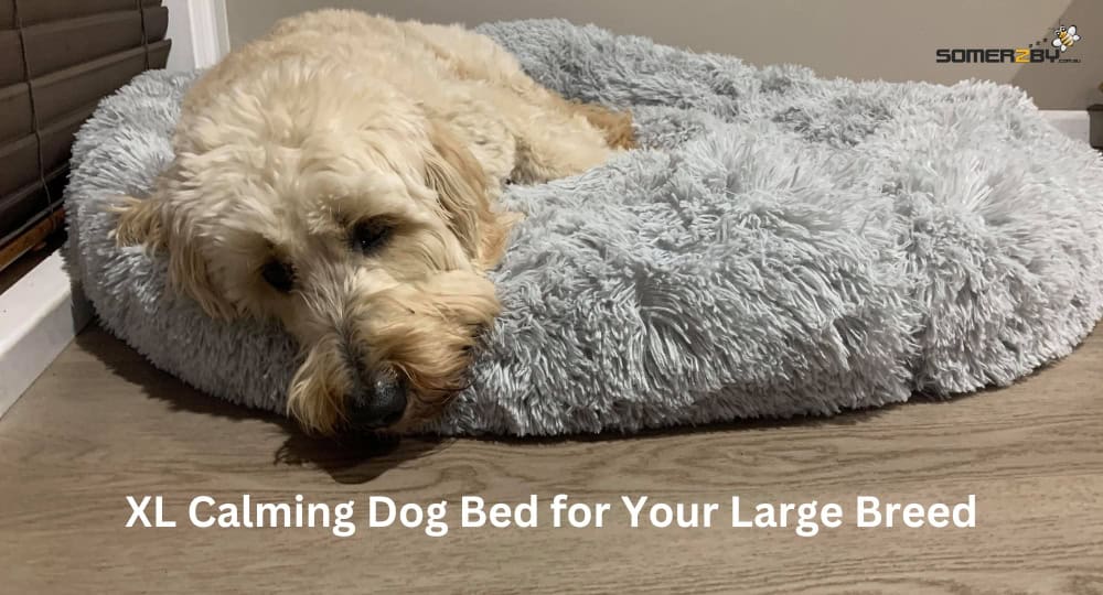 Choosing the Best XL Calming Dog Bed for a Large Breed