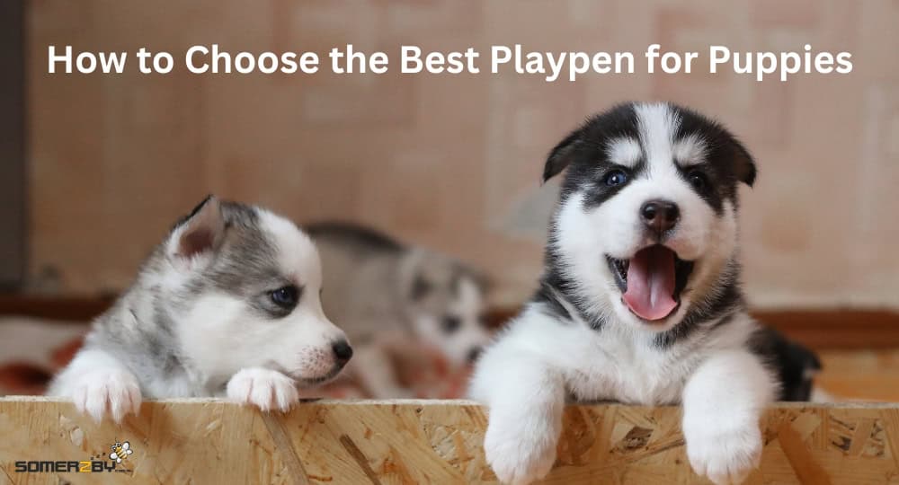 How to Choose the Best Playpen for Puppies
