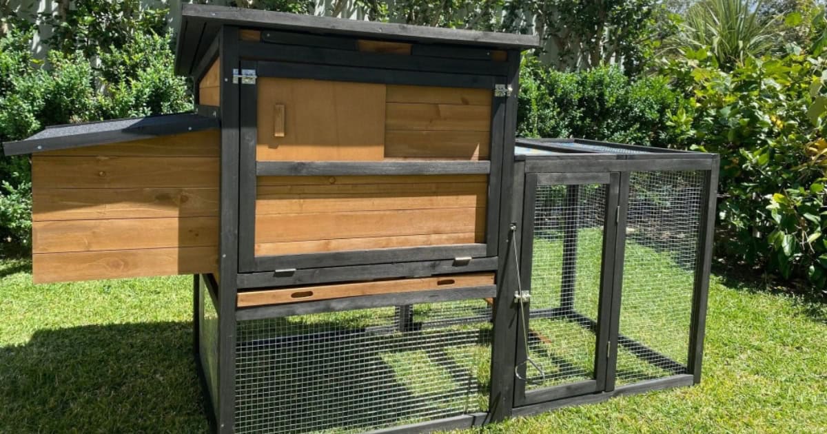 Bungalow Rabbit Hutch