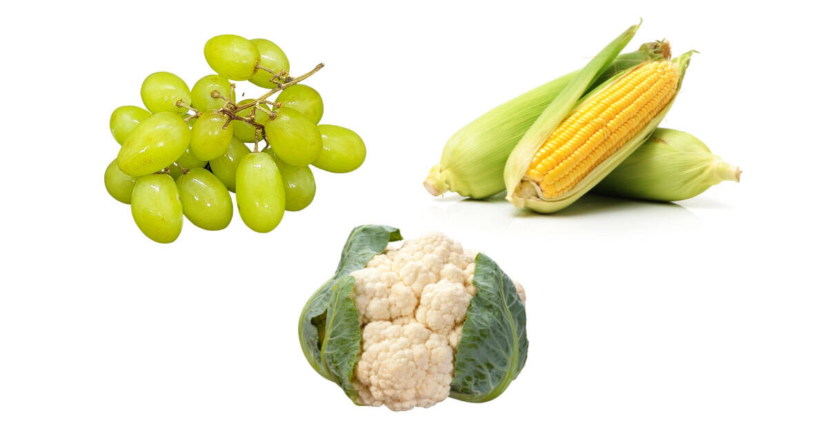 Can rabbits eat grapes corn cauliflower