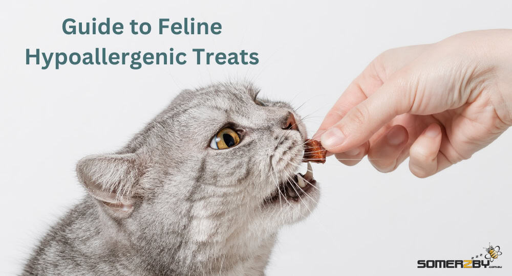 Guide to Feline Hypoallergenic Treats
