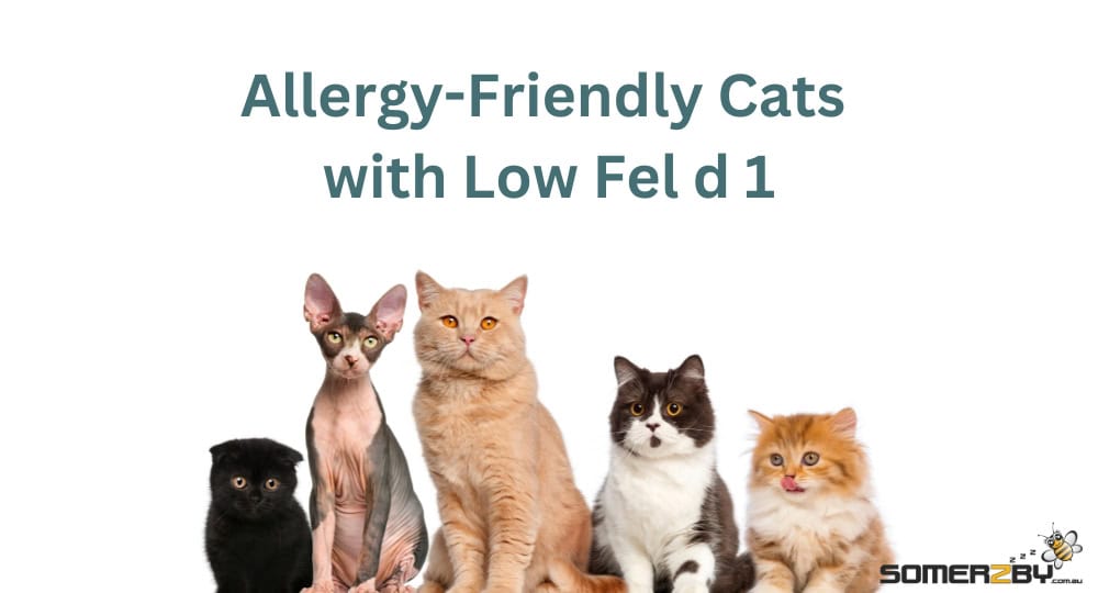 Allergy-Friendly Cats with Low Fel d 1