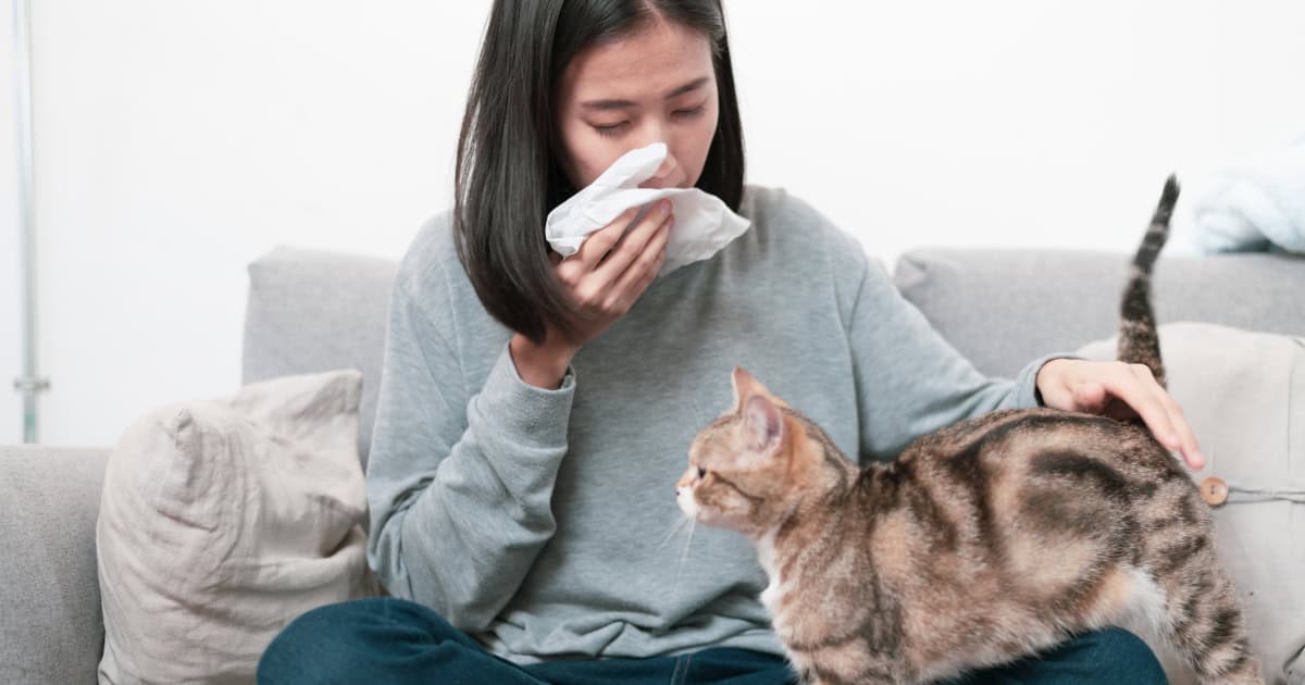 Understanding Cat Allergies