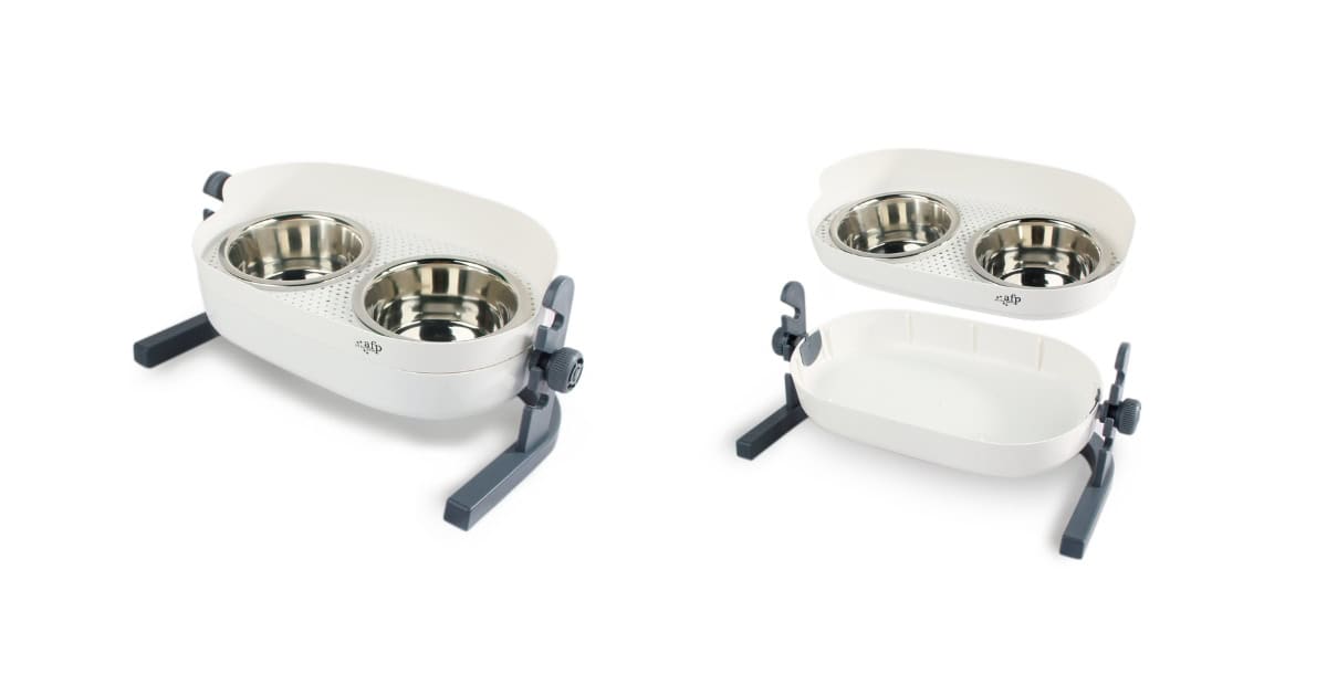 3-in-1 Elevated Food Bowl