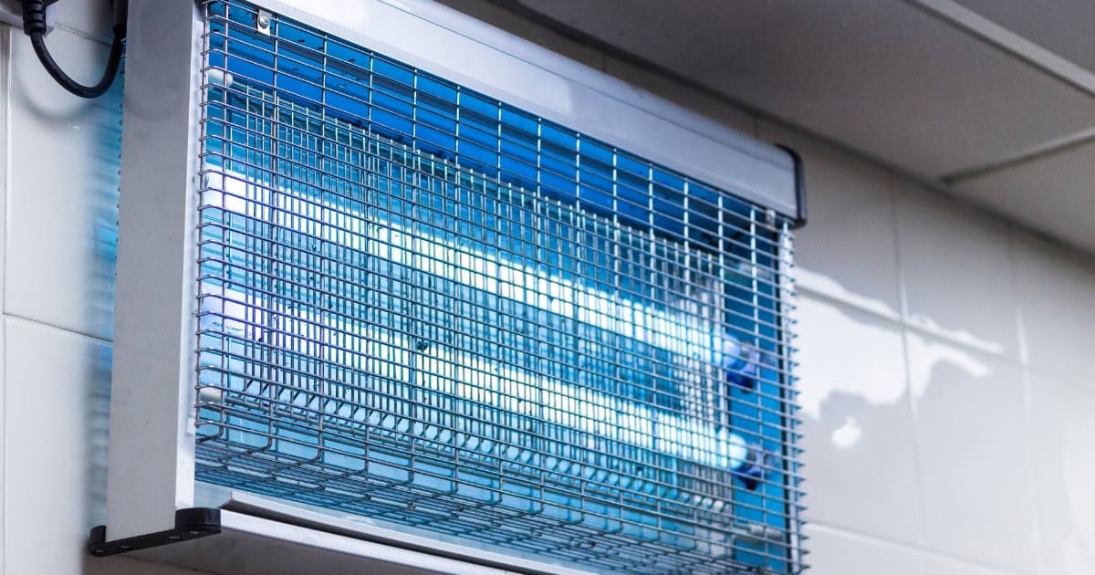 How to Get Rid of Chicken Coop Flies Effectively