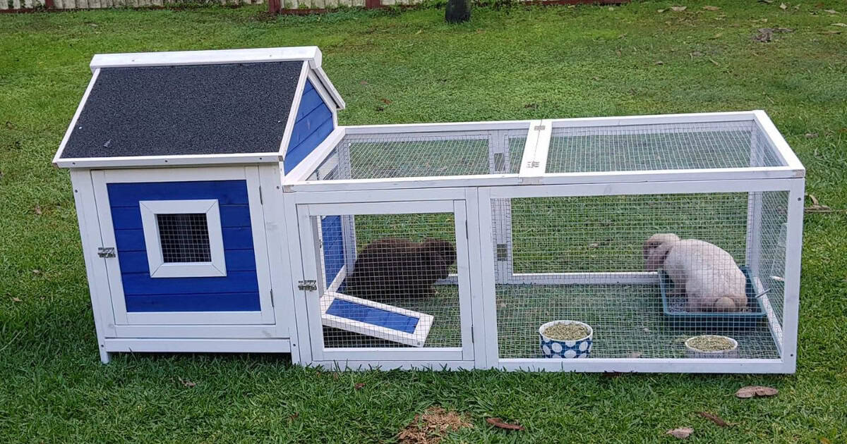 Pet rabbits in a Somerzby Cottage Hutch