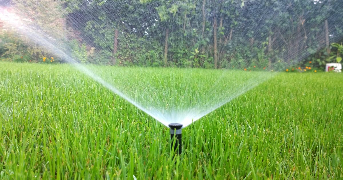 Physical Barriers to Deter Cats