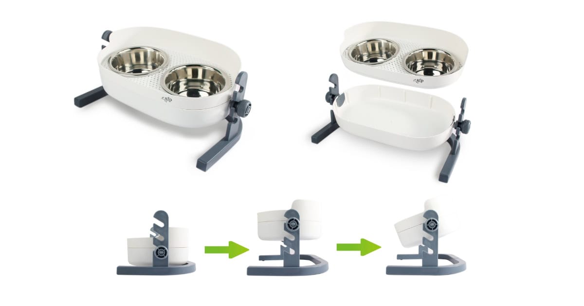 All For Paws Lifestyle 4 Pets 3-in-1 Elevated Food Bowl