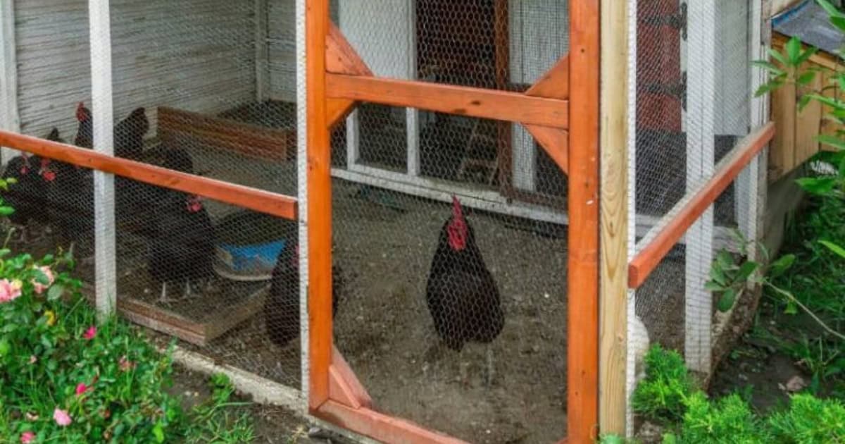 Allowing Adequate Drying Time