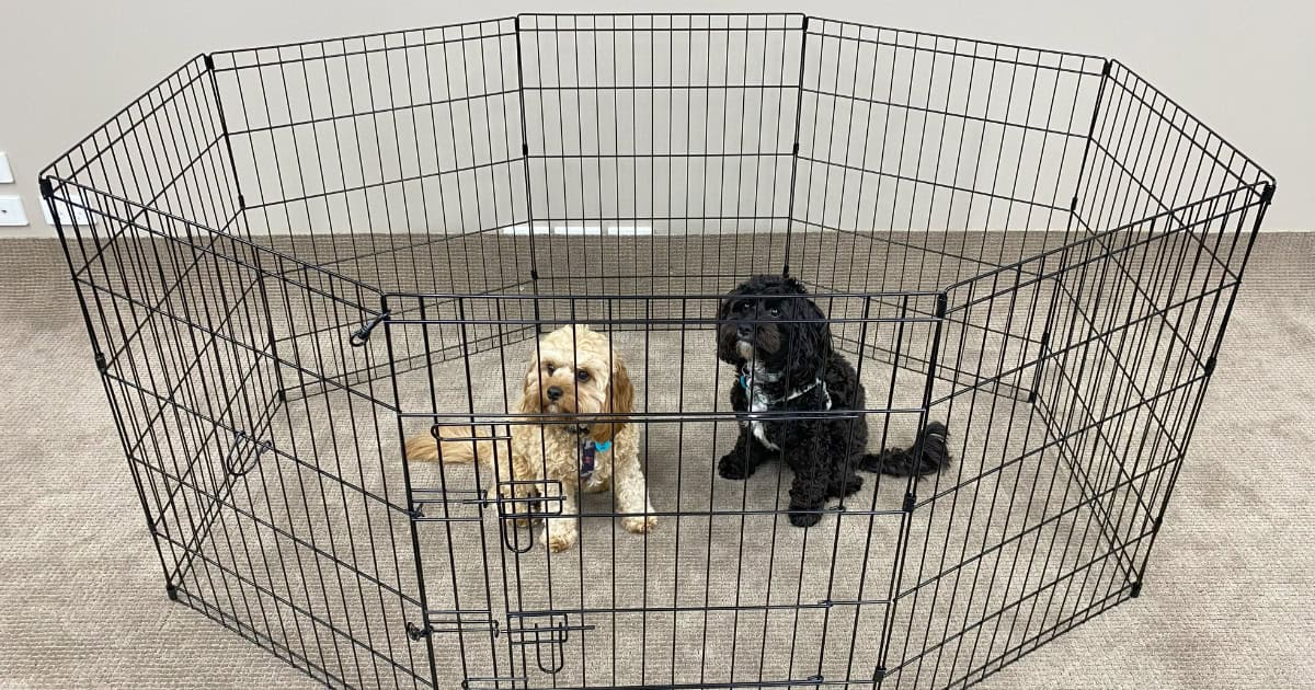 Arena Puppy Playpen