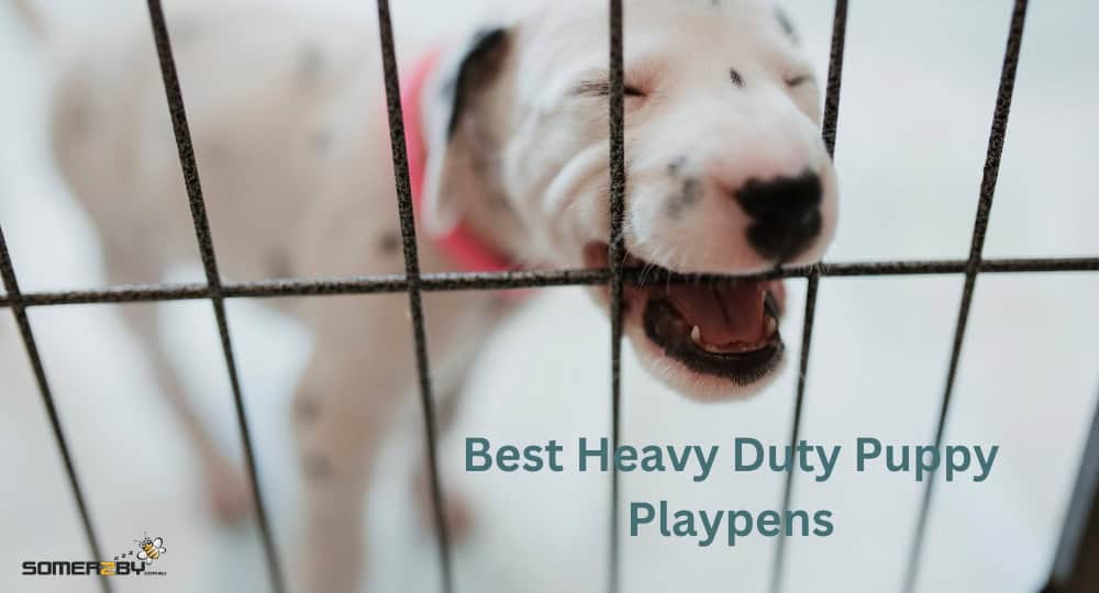 Best Heavy Duty Puppy Playpens
