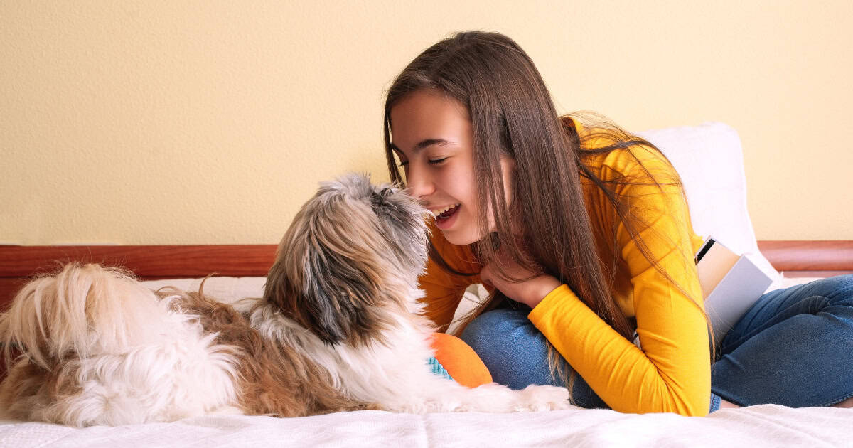 Best Pet for a 10 Year Old Girl