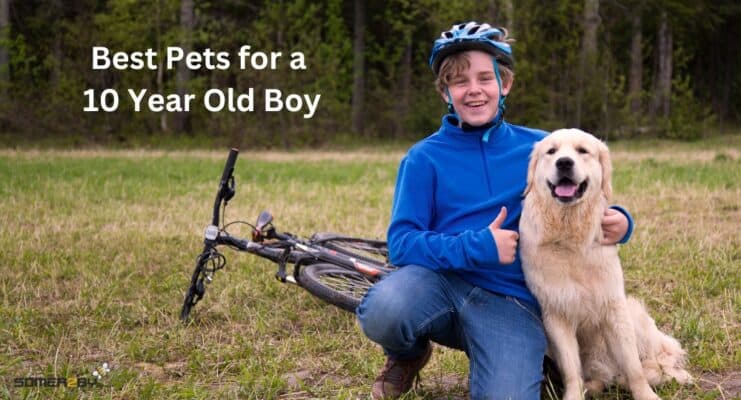 Best Pets for a 10 Year Old Boy