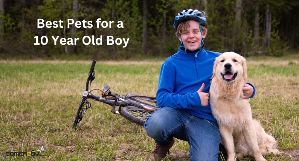 Best Pets for a 10 Year Old Boy
