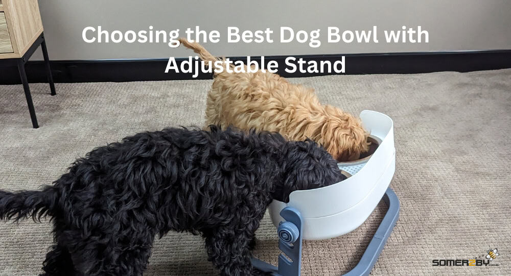 Choosing the Best Dog Bowl with Adjustable Stand