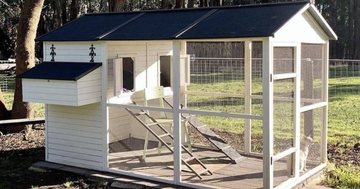 Step-by-Step Guide to Painting Your Chicken Coop