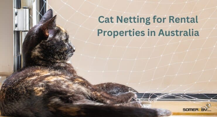 Cat Netting for a Rental Property in Australia
