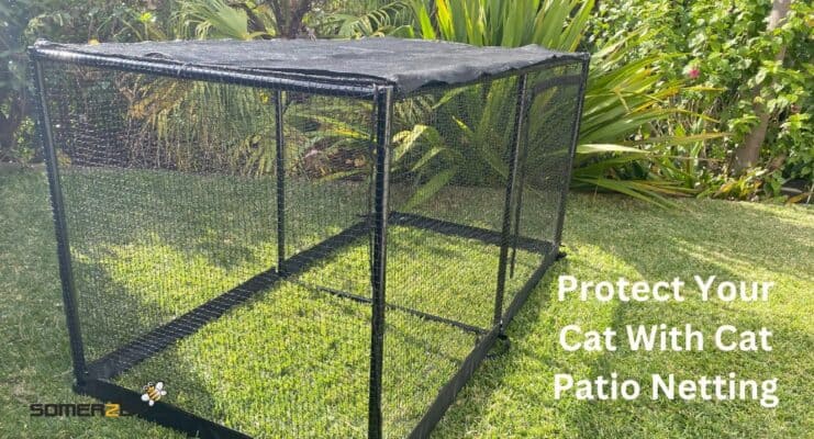 Protect Your Cat With Cat Patio Netting