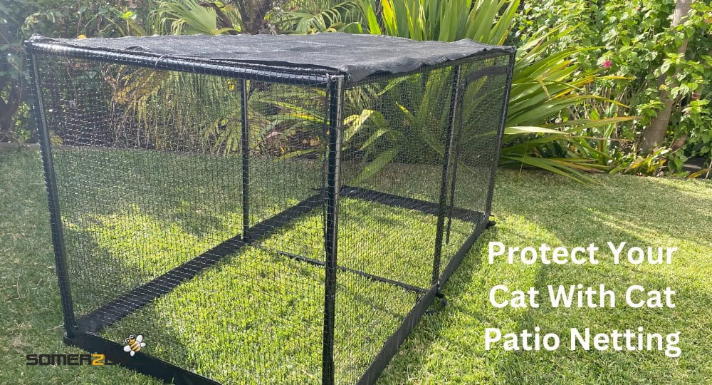 Protect Your Cat With Cat Patio Netting