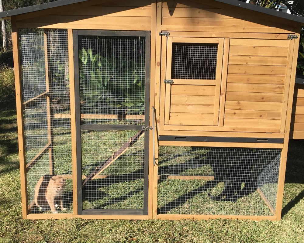 Cat enclosure without run attached