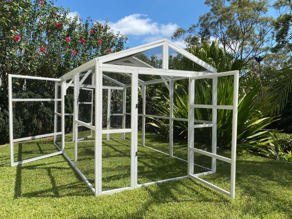 Castle Cat Run - doors open