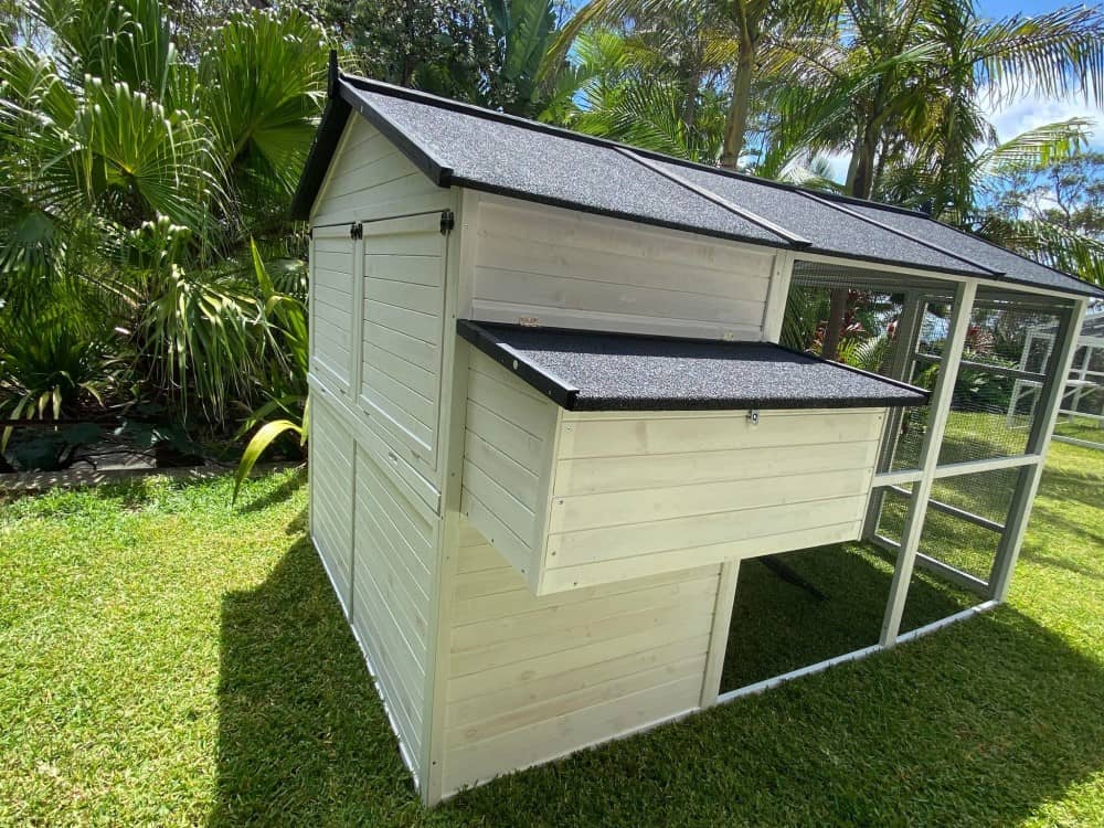 Castle Chicken Coop - Back