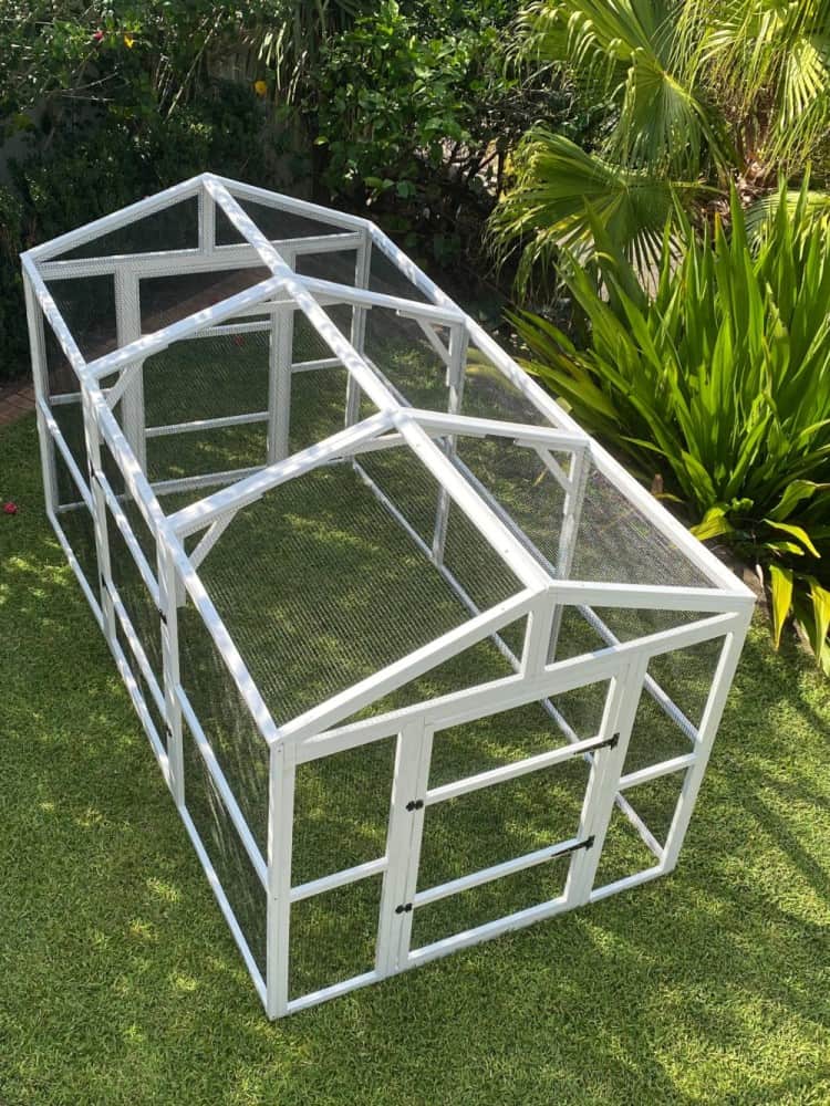 Castle Chicken Run - above