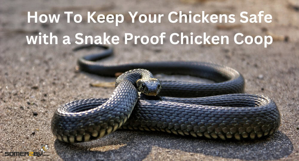How To Keep Your Chickens Safe with a Snake Proof Chicken Coop