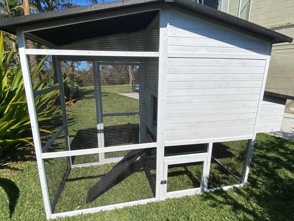 Majestic Chicken Coop-back
