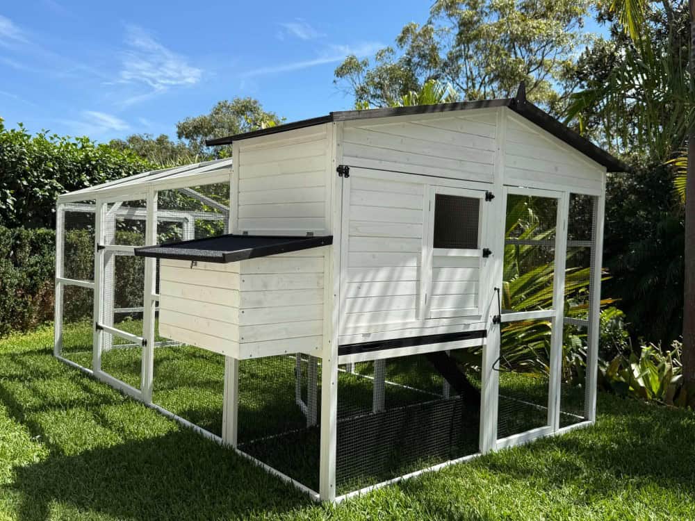 Majestic Cat Enclosure and Run