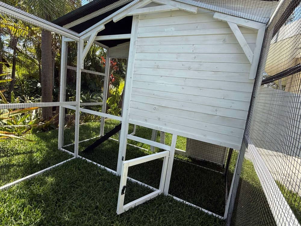 Majestic Chicken Coop - Inside run