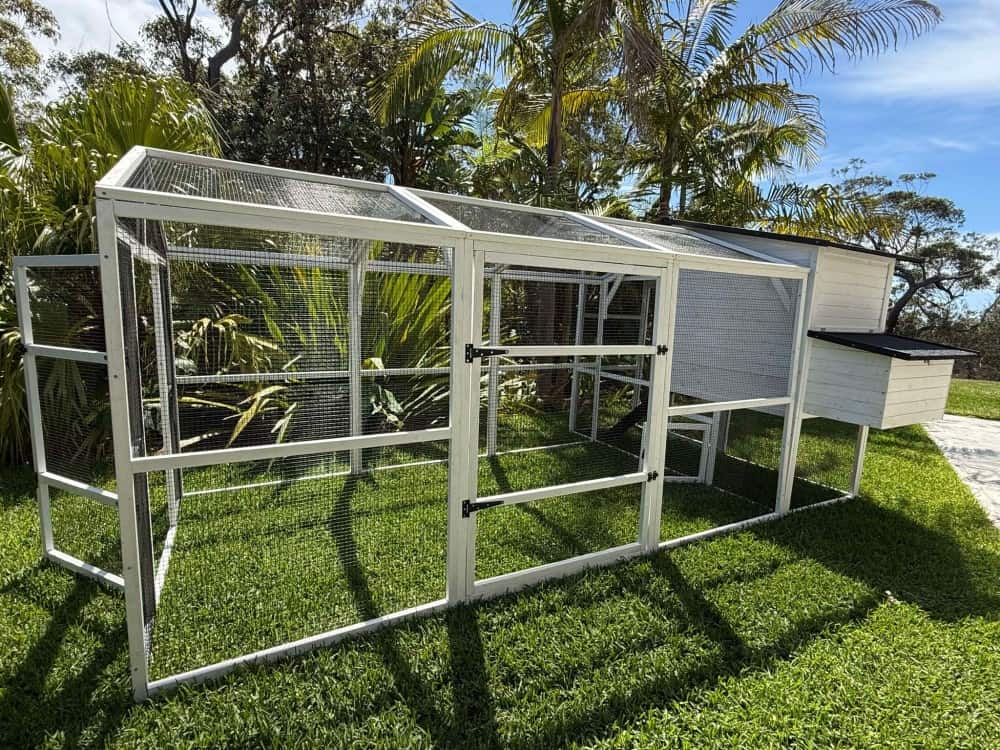 Majestic Chicken Coop and Run - Run at the back