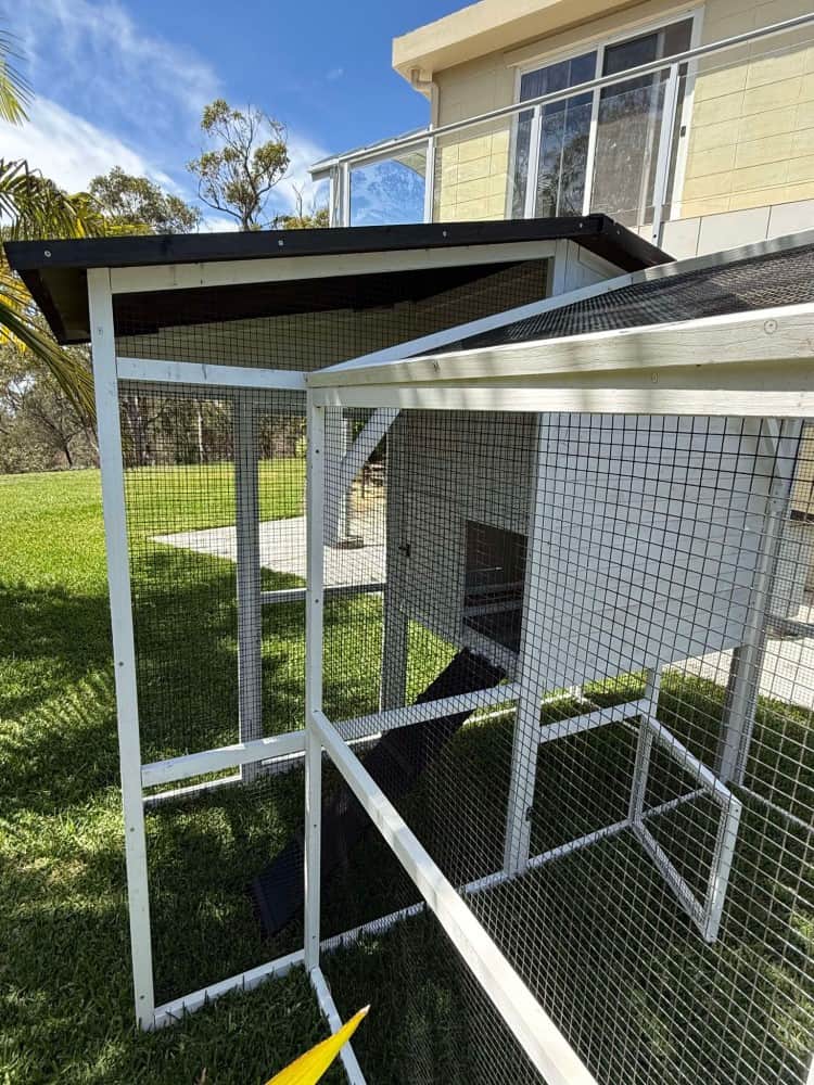 Majestic Chicken Coop and Run - Run joined onto back