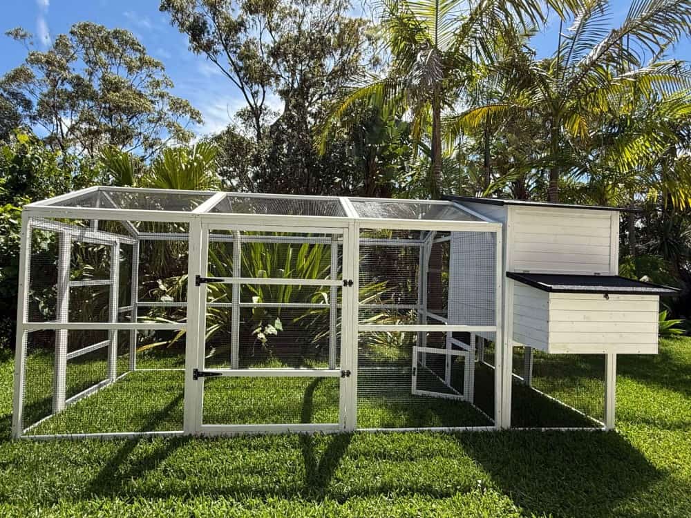 Majestic Chicken Coop and Run - Run joins onto the back