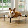 Trampoline Dog Bed - Used indoors