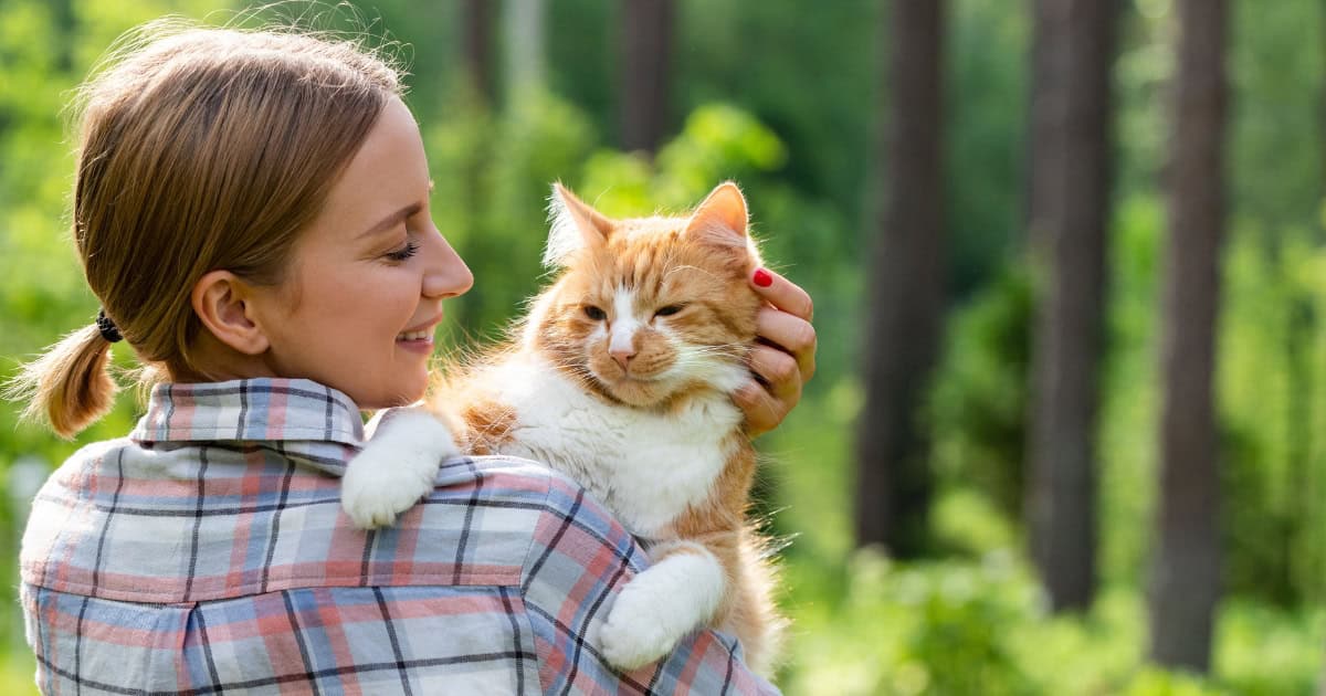 Catio Benefits For Pet Owners