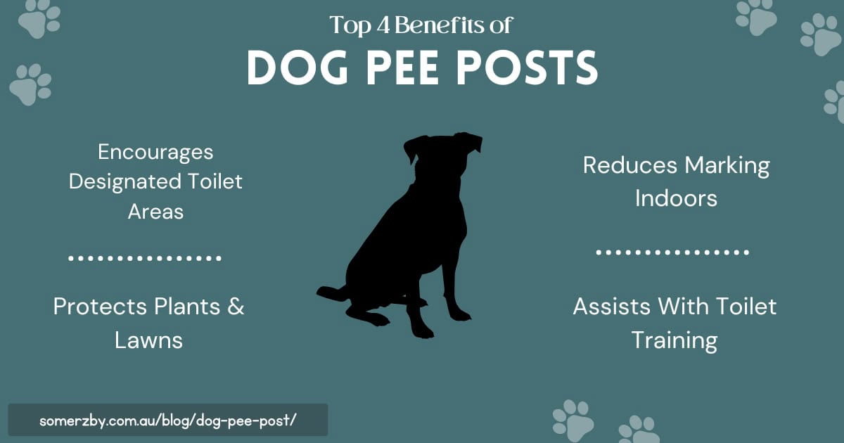 Top 4 Benefits of Dog Pee Posts